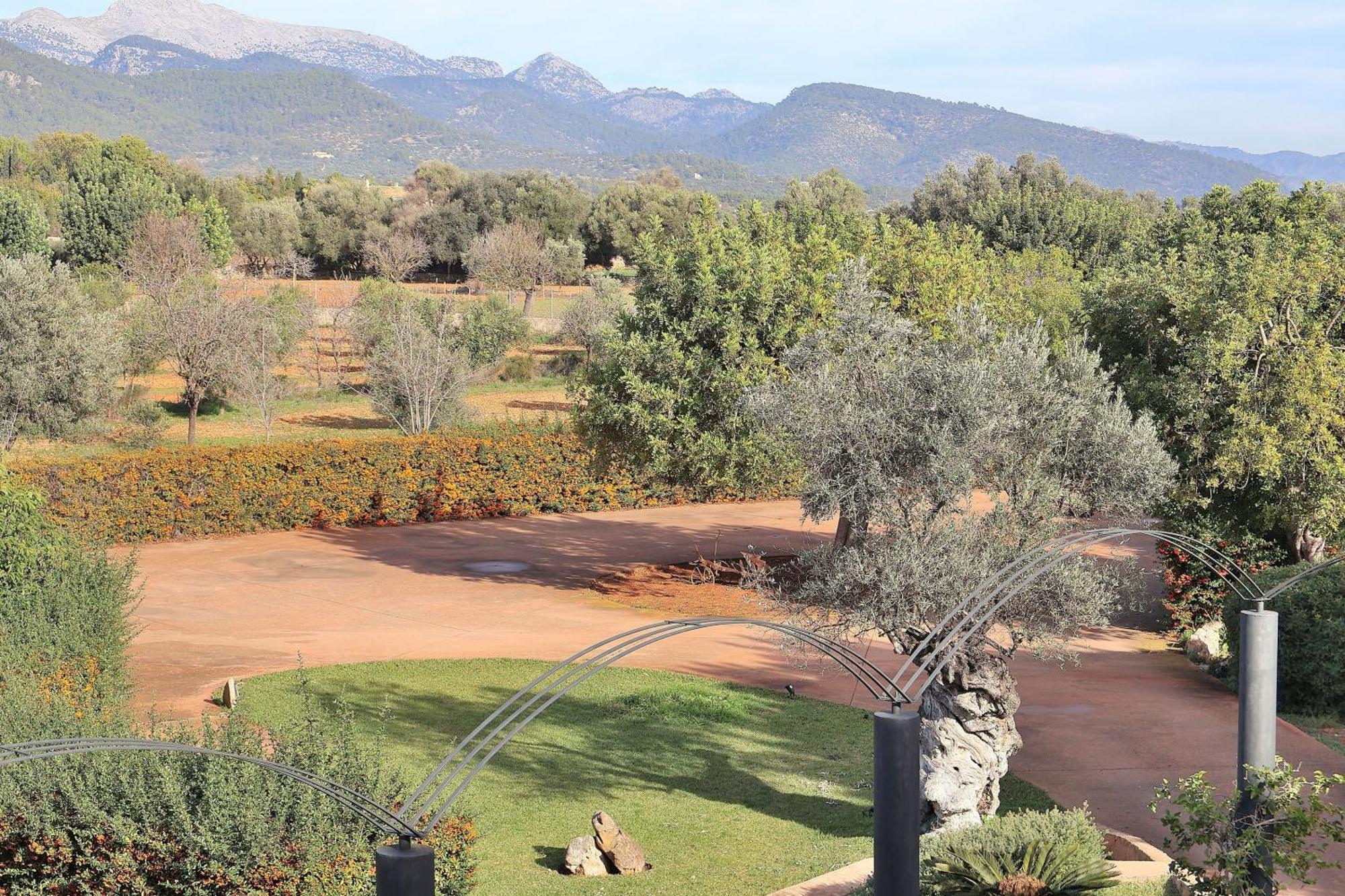 151 Villa Es Triquet Et3366 By Mallorca Charme Binisalem Kültér fotó