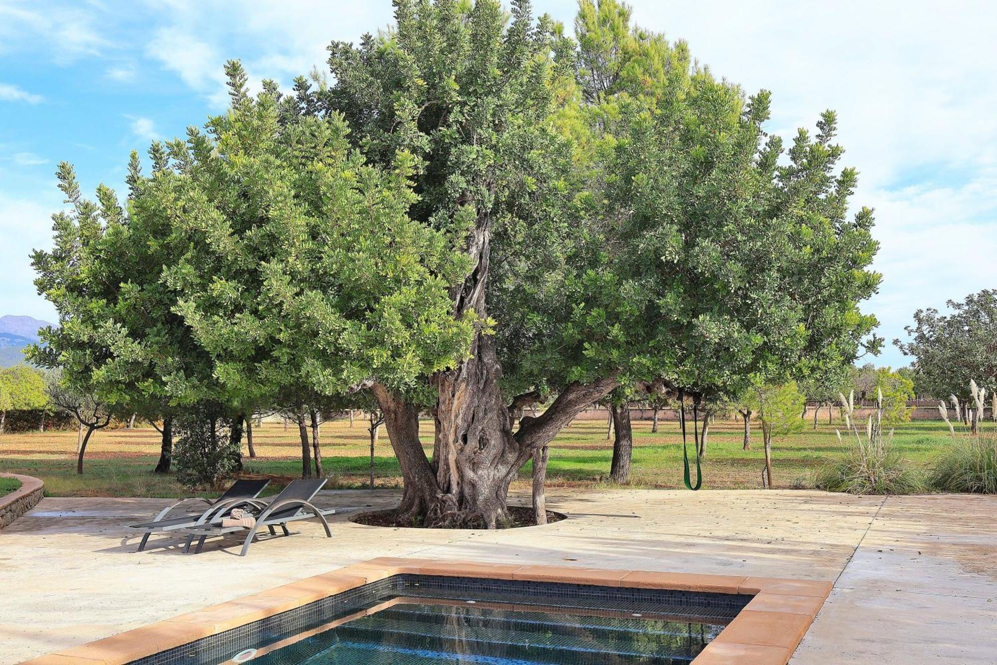 151 Villa Es Triquet Et3366 By Mallorca Charme Binisalem Kültér fotó